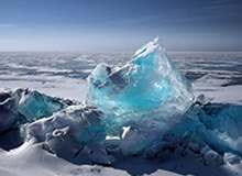 体育平台-杰伦布朗和亚历山大分别当选NBA东西部周最佳球员